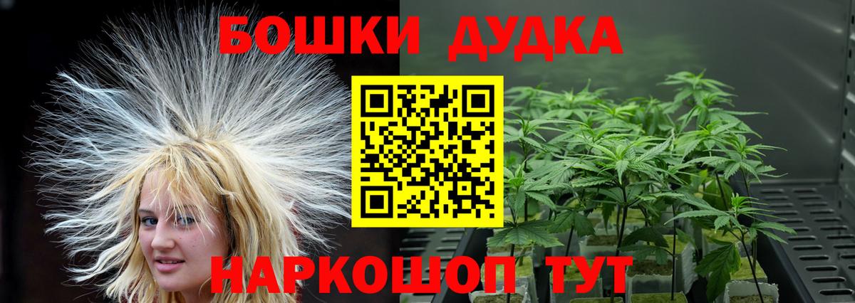 Бошки марихуана индика  Вход с VPN  Бошки Шишки гибрид  Канабис индика  Острогожск 